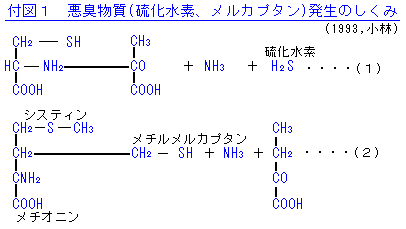 ���L���������̂�����