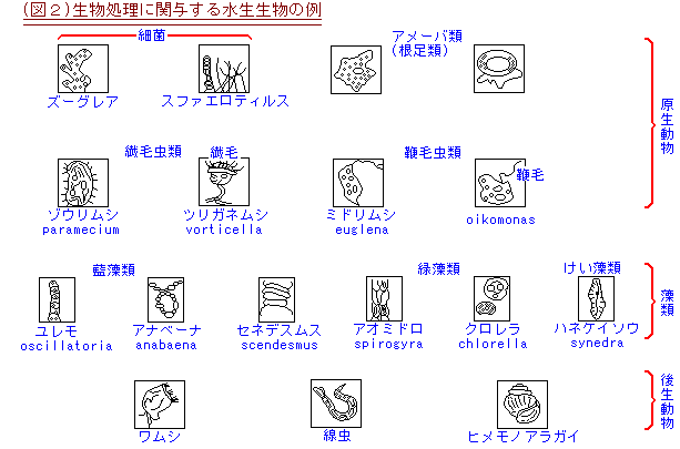 ���������Ɋ֗^���鐅�������̗�