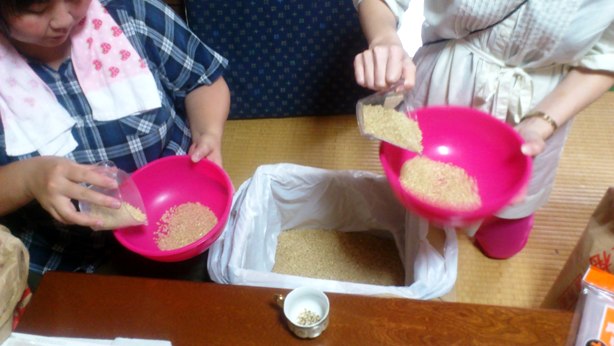 コメの選別作業