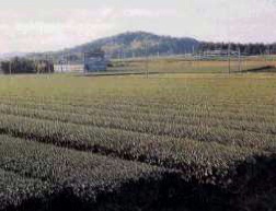 ���i�i�����j