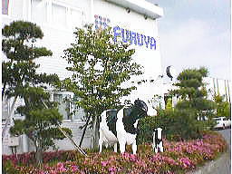 �ÒJ���Ɨl����O