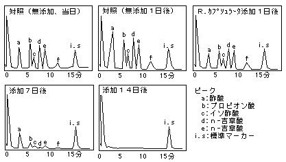 ���L����