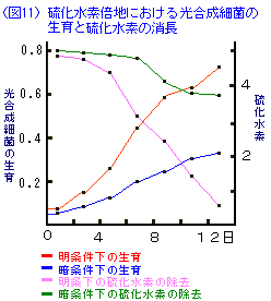 �������f�|�n�ɂ�����������ۂ̐���Ɨ������f�̏���