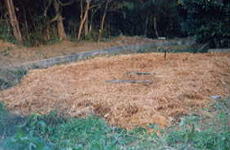 �����炬�v�[��