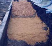 �����炬�v�[��