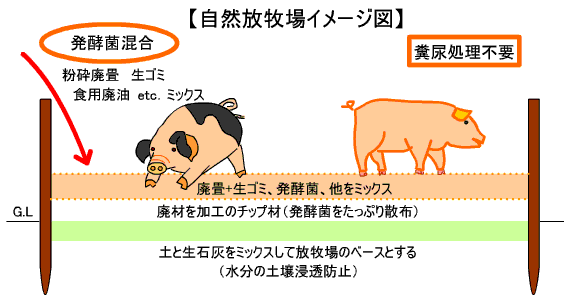 ���R���q�C���[�W�}