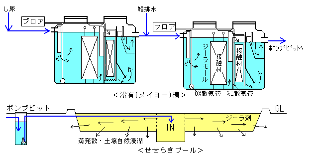 �V�X�e���T���}