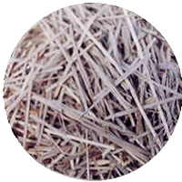 �V�X�e���̊j�W�[����