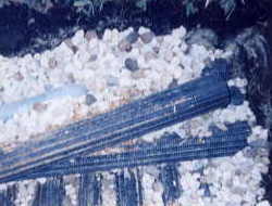 �����炬�v�[���̓������������