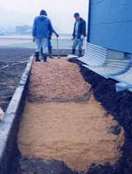 �����炬�v�[���̒f��