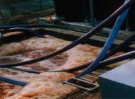 �G�A�𑗂�A�Z���ԂŔ��׉��𑣐i������B