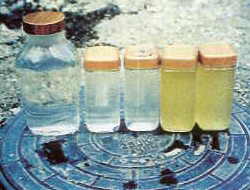 ���D�������u�i�v�L���j�̐��̕ω�