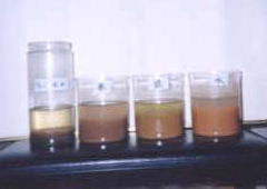 ���D���ƃO�����o������