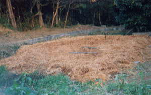 �����炬�w