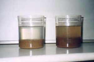 �A���S�i�C�g�i�L���Ε����j�ɂ�钾�~�������ʂ̎���