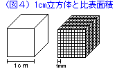 １ｃｍ立方体と比表面積